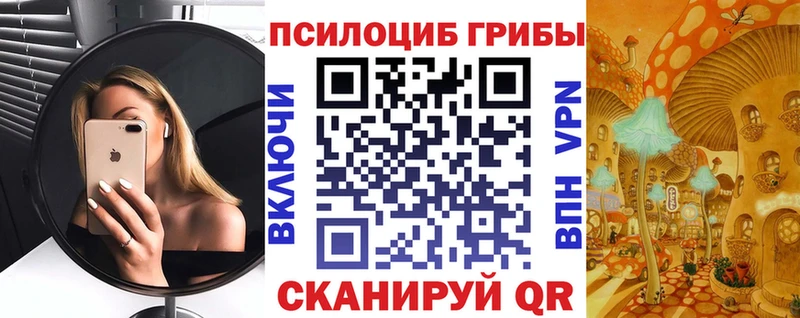 Купить закладки  Узловая  Галлюциногенные грибы мухоморы 